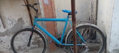 Large size affordable bicycle for sale.