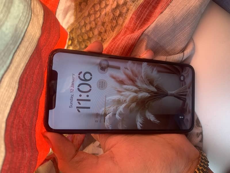 Iphone 11 pro max 64gb panel change 0