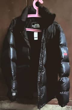 North Face duck down 900 ltd Jacket Summit series