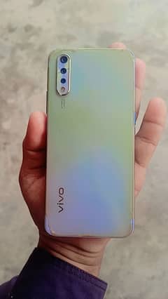 vivo