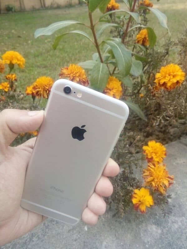 Iphone 6 10/10 Condition 8