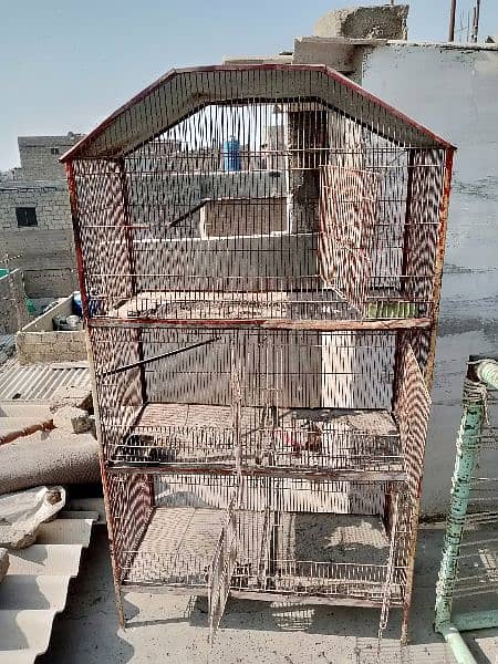 Pinjra cage 2