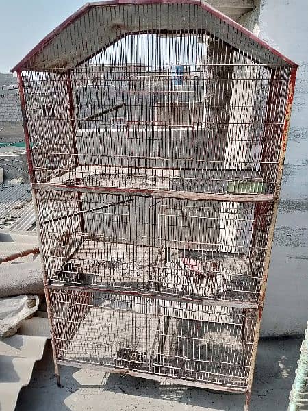 Pinjra cage 4