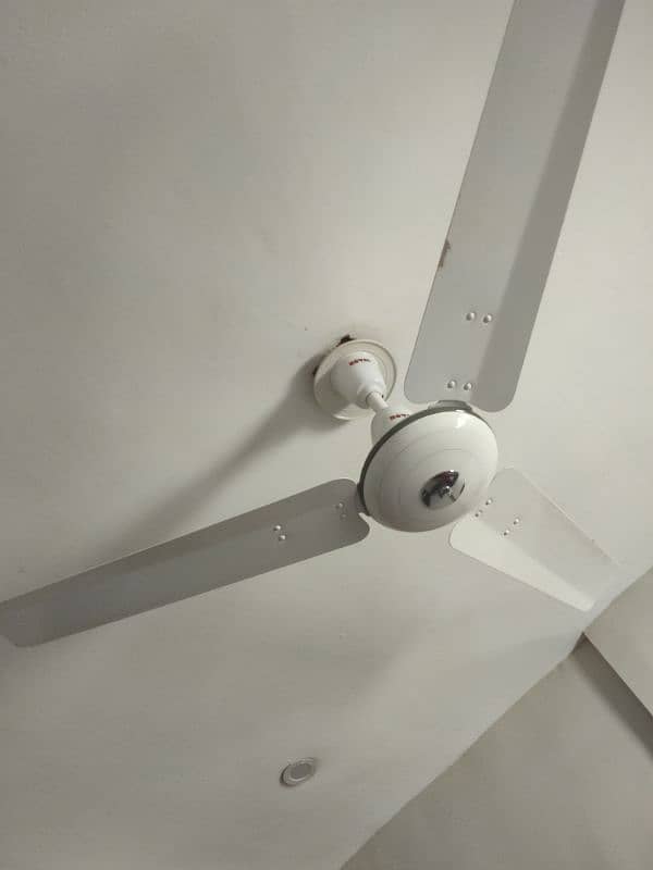 Royal ceiling fans 0