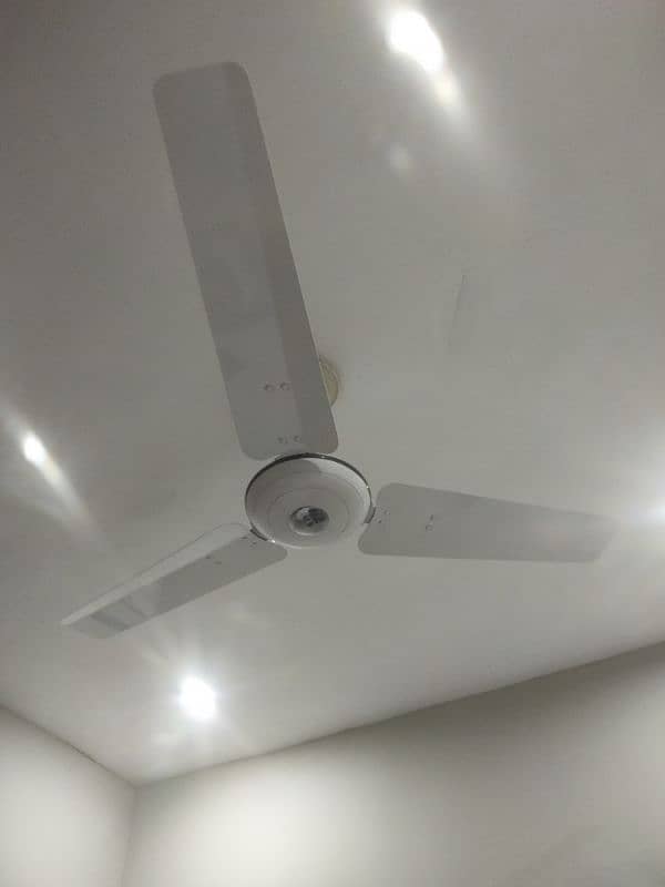 Royal ceiling fans 1