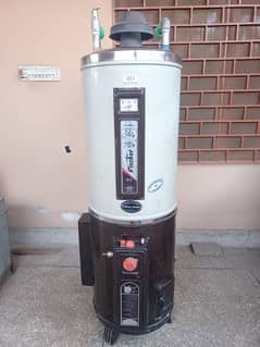 fischer geyser for sale urgent