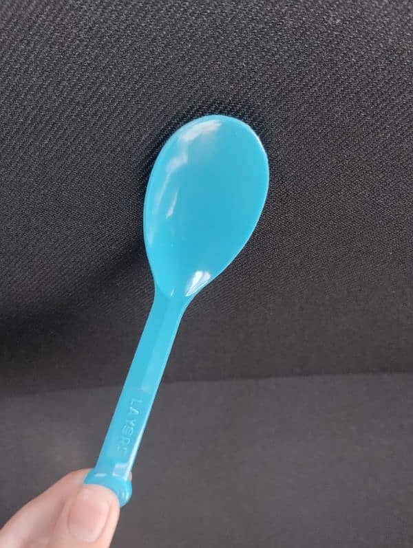 ORIGINAL LAYERS SPOON (chamch) 2