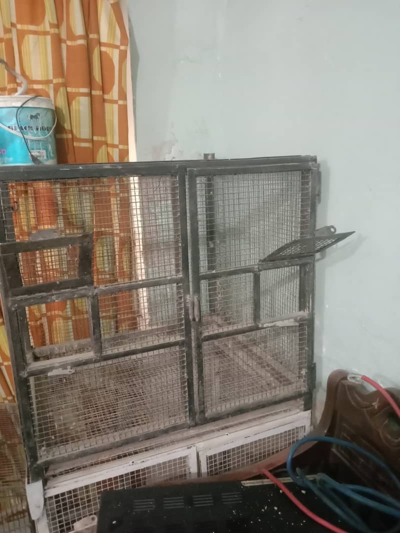 Birds cage 25"×25" 6 cage 03/00/ 42/06/13/2 1