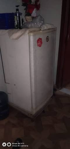 PEL single door fridge