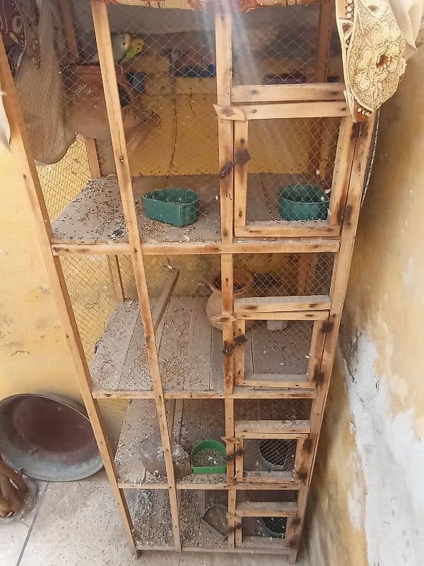 urgent sale all pair good Cage Ka set sales hai 3