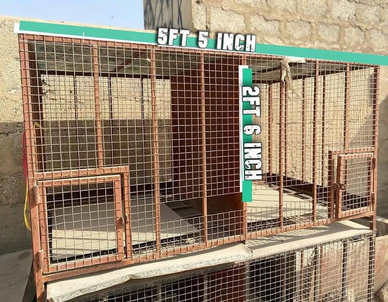 Hens cages with heavy metal | cages in cheap prices 0