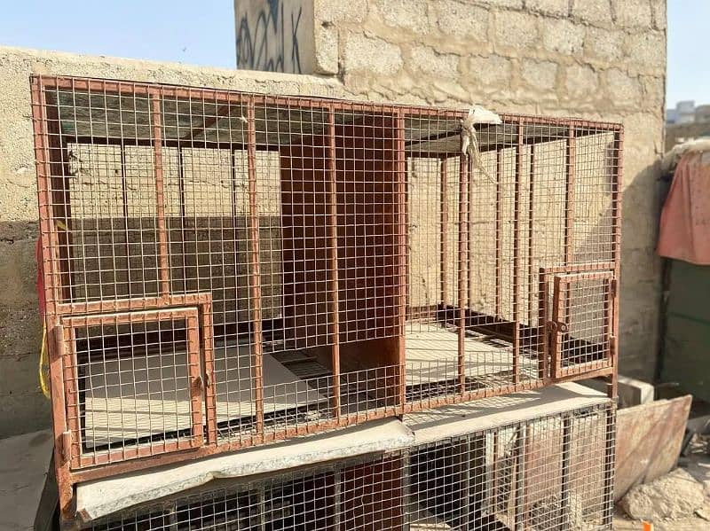 Hens cages with heavy metal | cages in cheap prices 3