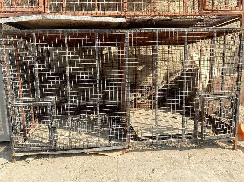 Hens cages with heavy metal | cages in cheap prices 4