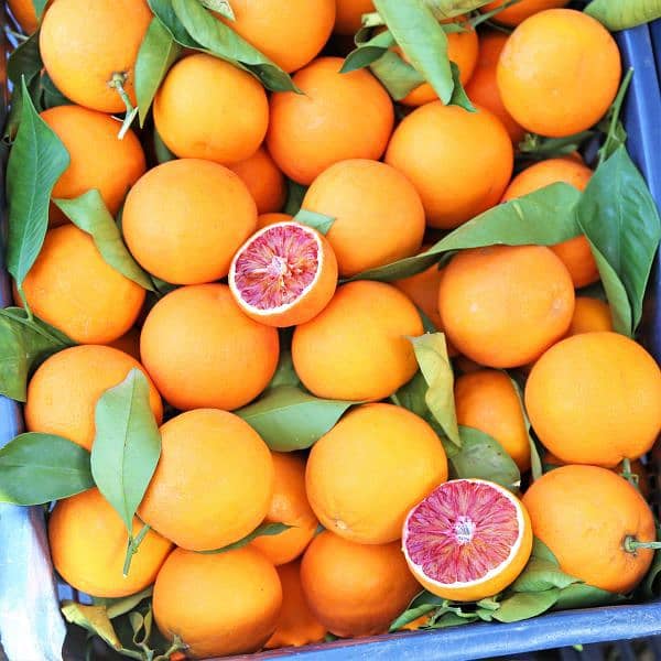 khanpur orange 1