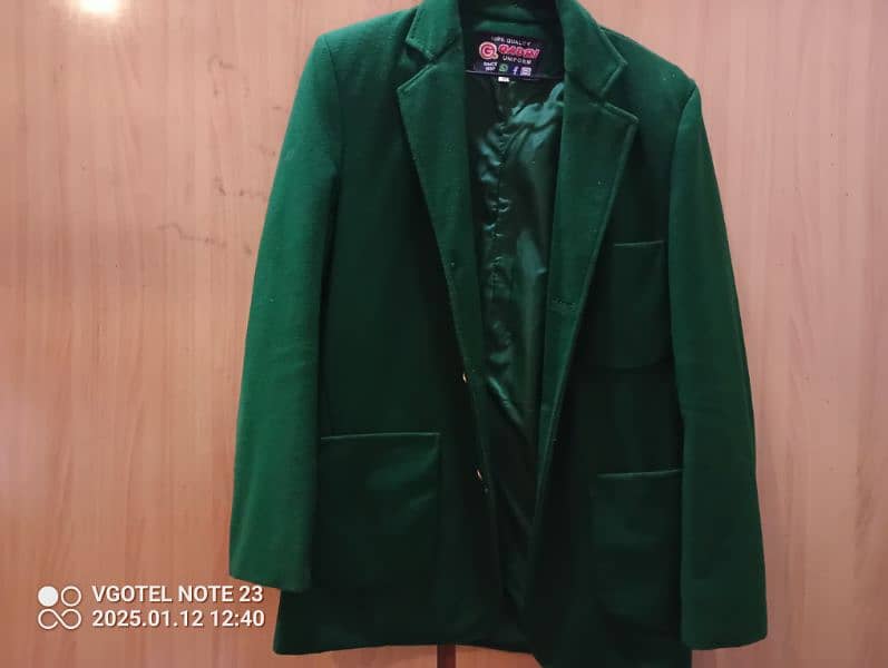 green blazer 1