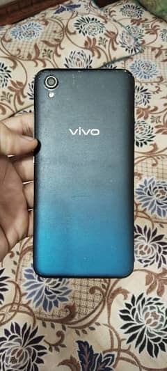 Vivo