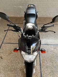 YBR 125