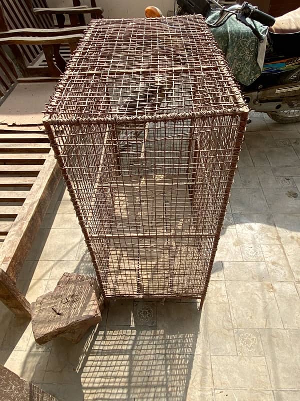 birds cage 2