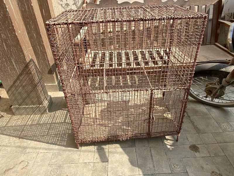 birds cage 3