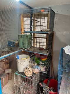 cages and kiker boxes