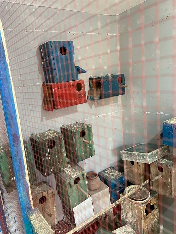 cages and kiker boxes 4