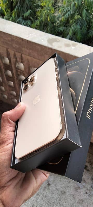 iphone 12 pro max 256GB PTA Approved 1