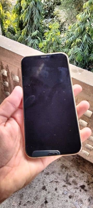 iphone 12 pro max 256GB PTA Approved 2