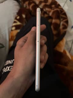 iphone 8plus 64gb