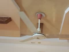 Super Asia Ceiling Fans