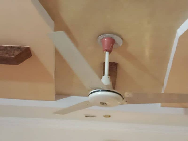 Super Asia Ceiling Fans 0