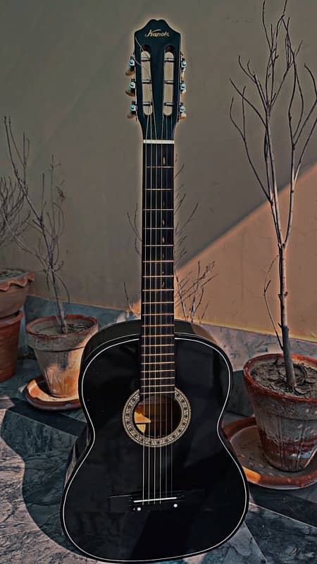 Kapok professional guitar 0