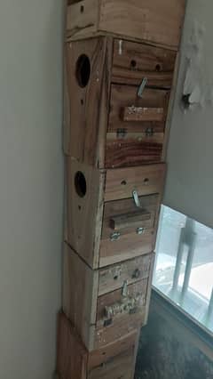 bird breeding boxes with nusting material