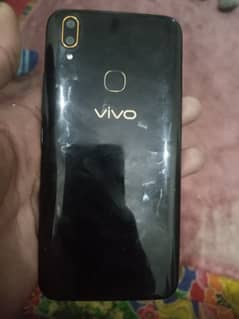 vivo