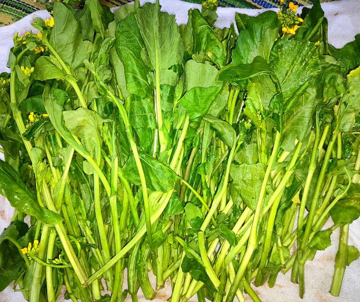 Fresh chop saag available in Multan 3