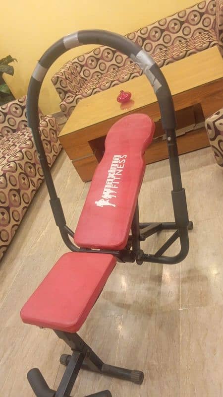 Exercise Machine for reducing waist and hips 1