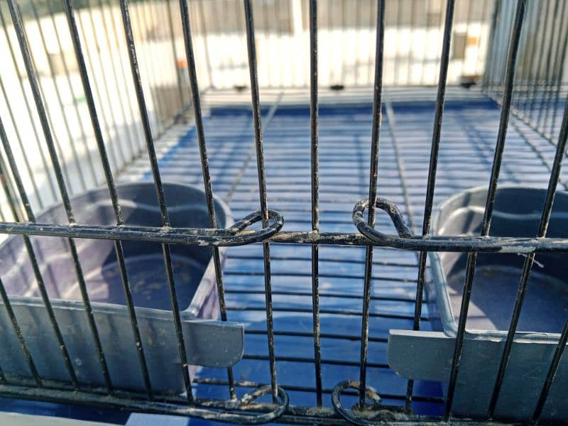 6 portion cage for sale in good quality 1