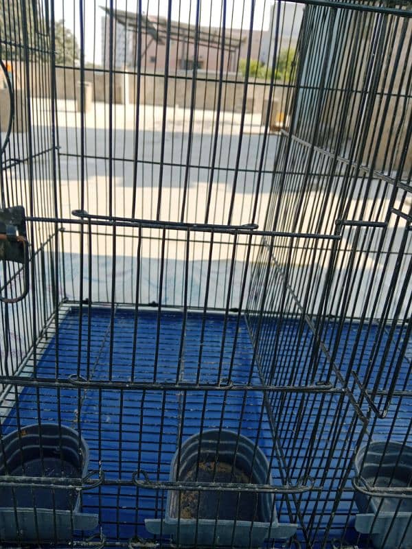 6 portion cage for sale in good quality 8