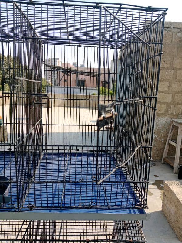 6 portion cage for sale in good quality 9