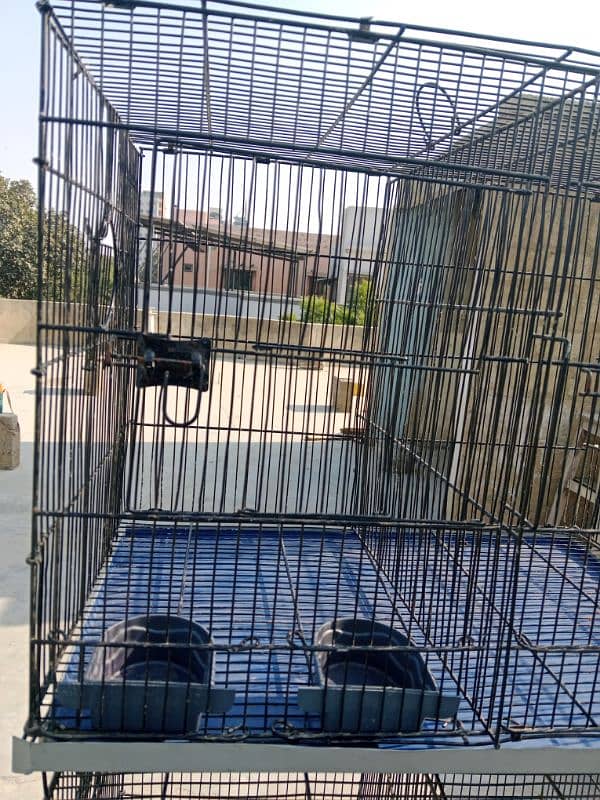 6 portion cage for sale in good quality 12