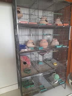 cage for birds