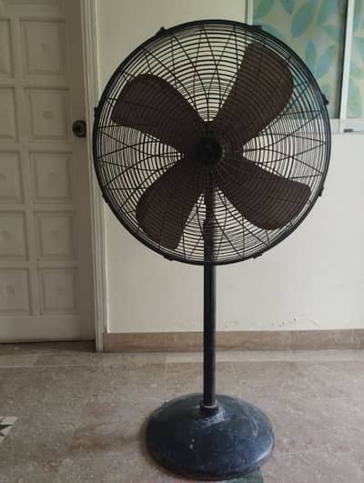 Stand Fan
