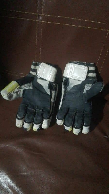 Batting gloves 2