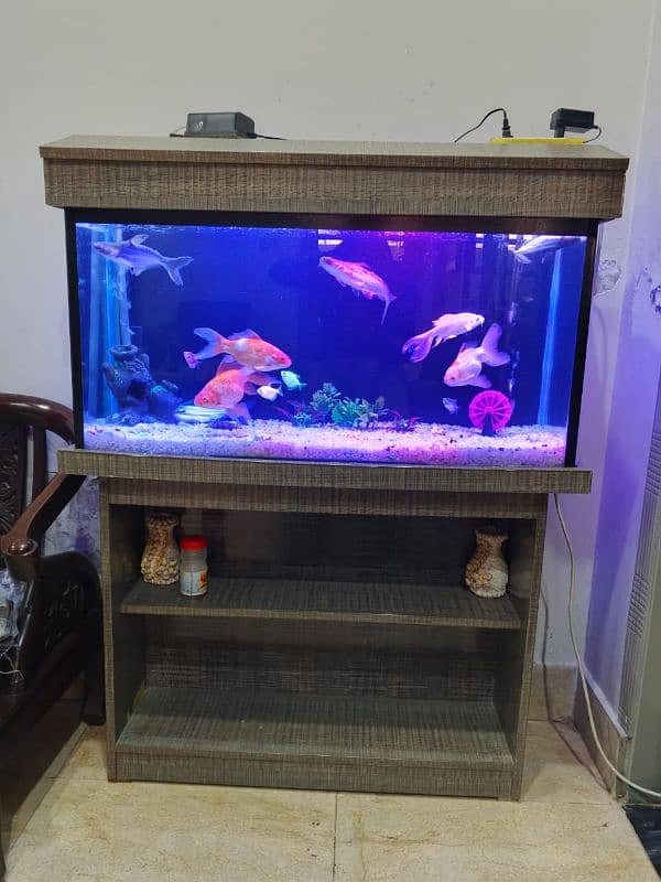 FISH AQUARIUM WITH 12 FISHES AND TABLE 1