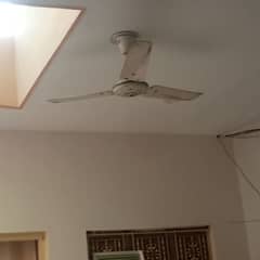 Cieling fan