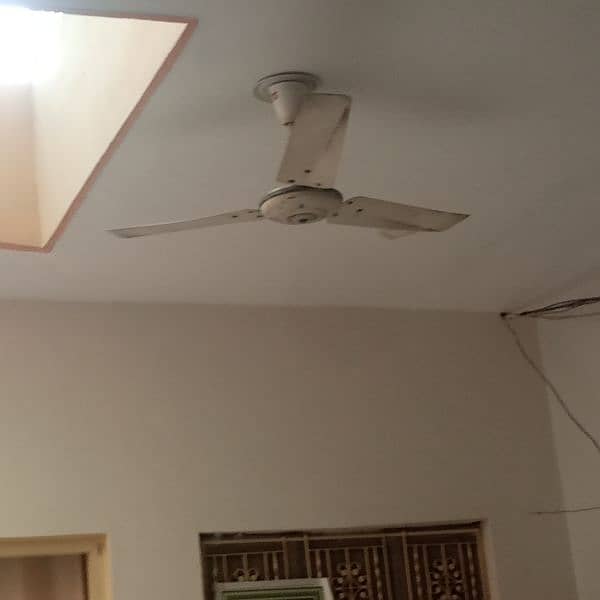 Cieling fan 0