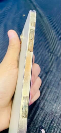 iPhone 12 Pro /Non pta /256 gb