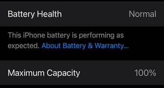 Apple iPhone 15 Pro Max 100% BATTERY HEALTH Natural Titanium! [New]