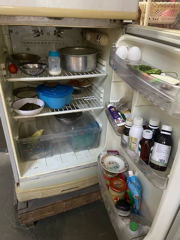 fridge 1