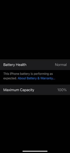 Apple iPhone 15 Pro Max 100% BATTERY HEALTH Natural Titanium! [New]