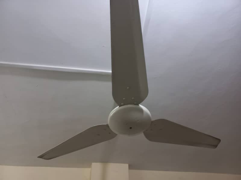 3 fan for sale 1